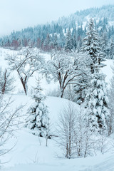 Winter Carpathian Mountains landscape.