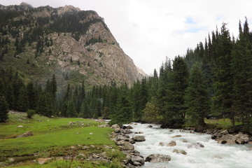 Fototapeta premium River in the mountains