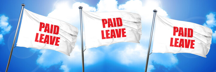 paid leave, 3D rendering, triple flags