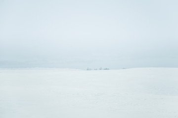 Fototapeta na wymiar A beautiful, minimalist landscape of snowy Norwegian fields with trees. Clean, light, high key, decorative look.