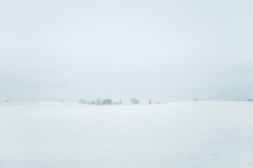 A beautiful, minimalist landscape of snowy Norwegian fields with trees. Clean, light, high key, decorative look.