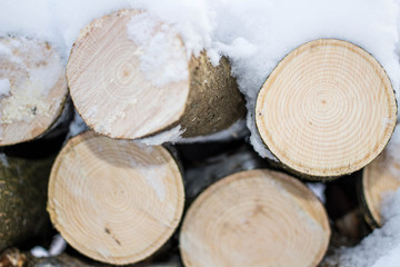 Wall of stacked logs and branches. Firewood in the snow