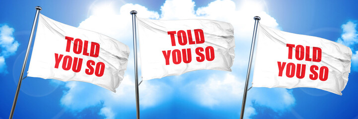 told you so, 3D rendering, triple flags