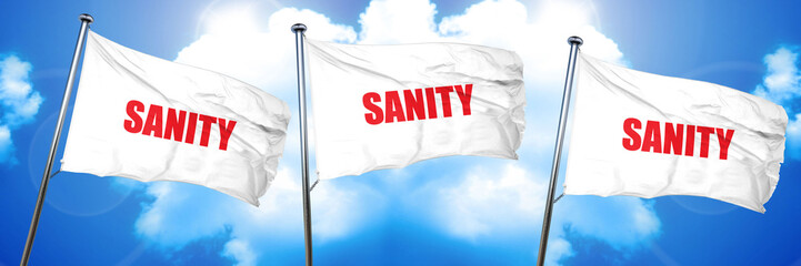 sanity, 3D rendering, triple flags