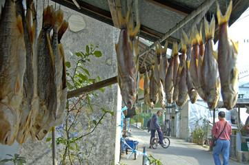 drying fish at Tai O village