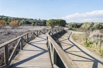 Obraz premium Medina lagoon, Jerez de la Frontera, Cadiz, Spain