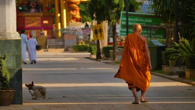 Monk walking into the temple
