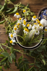 Alternative medicine, dried herbs and mortar on wooden desk background