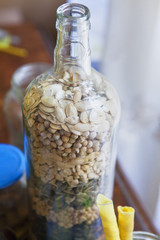 seeds in glass bottle