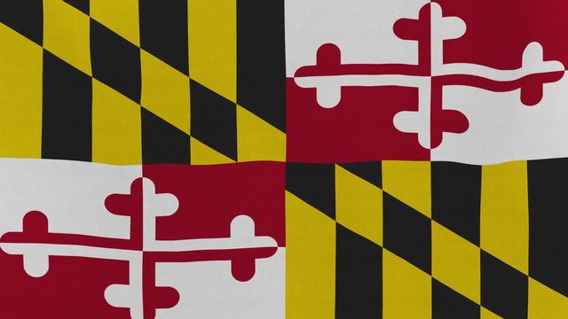Loopable: Maryland flag...Flag of state Maryland waving in the wind...Seamless loop...Made from ultra high-definition original with detailed fabric texture.