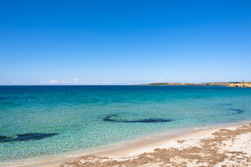 Fototapeta na wymiar S'anea scoada beach, Oristano, Sardegna