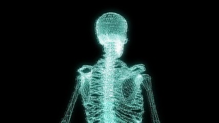 Human Skeleton Wireframe Hologram in Motion. Nice 3D Rendering
 - Powered by Adobe