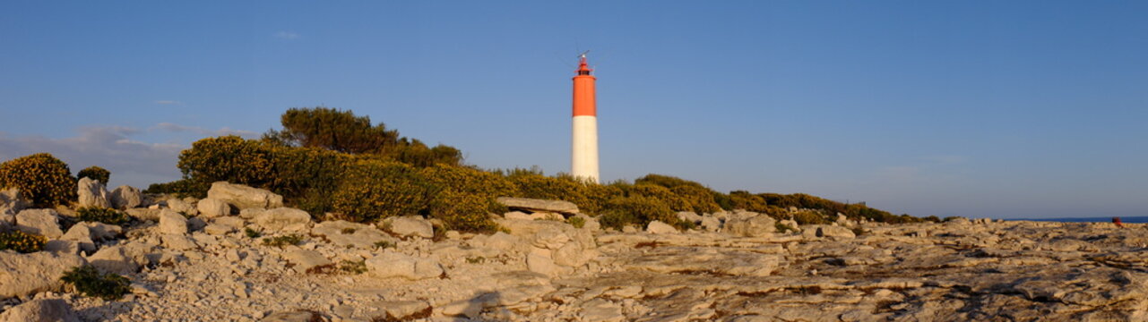 De Tamaris &agrave; Cap Couronne (Martigues)