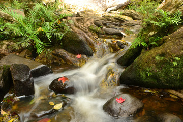 water fall in phu kradueng