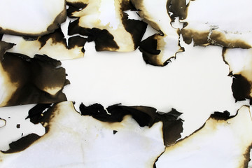 Burned old paper. Background image