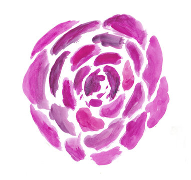 Watercolor rose painted on a white isolated background