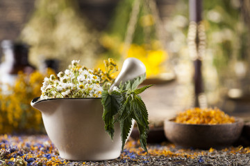 Herbal medicine on wooden desk background