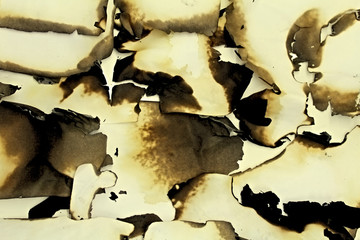Burned old paper. Background image