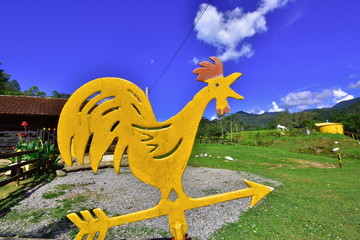The rooster and the direction