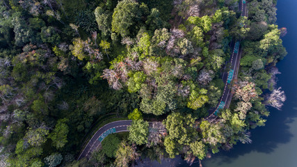 Aerial view of mountains and forest above, with lake and road