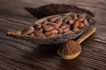 Cocoa beans in the dry cocoa pod fruit on wooden background