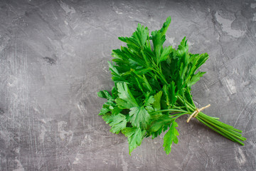 parsley on a gray background