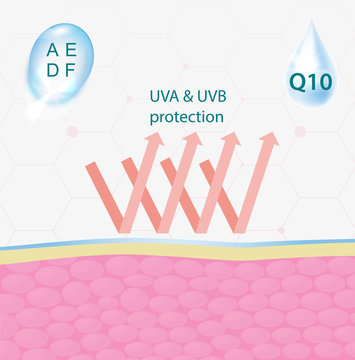 UVA and UVB protection of the skin from the effects of the environment, hyaluronic acid infographics