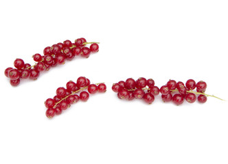 red currant