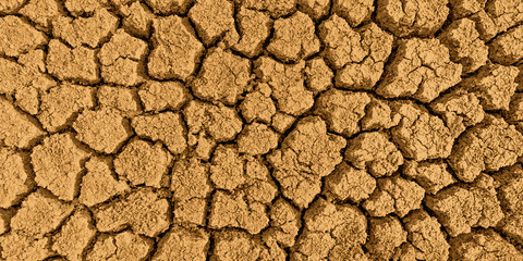 The texture of dry land.
