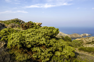 Parc Natural de Cap de Creus, Gerona, Costa Brava, Spain, Catala