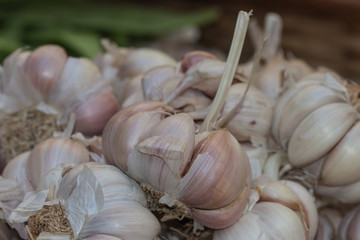 Knoblauch, allium sativum, Makro, Markt, 