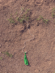 deflated balloon