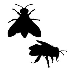 Bee silhouette. Black white icon. Vector illustration.