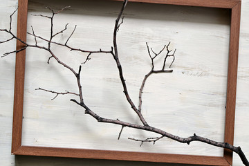 Wooden frame filled with a bare tree branch