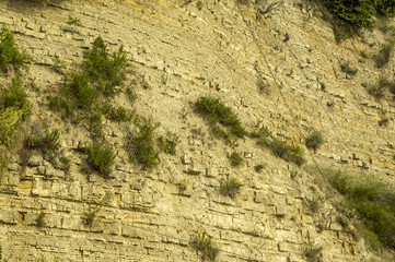 Piran, cliff, Slovenia, Southern Slovenia
