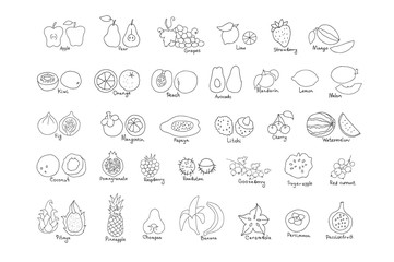 Vector set of line hand drawn fruit and berries icons. Doodle set of different cut fruits and berries. Healthy food. Exotic fruits. Collection of fruits and berries
