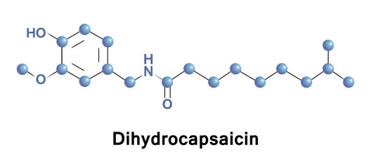 Dihydrocapsaicin is a capsaicinoid and analog and congener of capsaicin in chili peppers. Like capsaicin it is an irritant. It accounts for about 22 per cent of the total capsaicinoid mixture