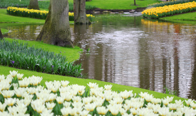 The flowerbeds with different flowers at the water
