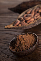 Cacao beans and powder and food dessert background
