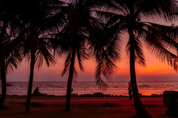Twilight sunset with coconut tree at the beach.,background.