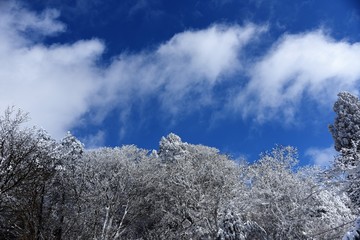 雪景色　樹氷の金剛山
