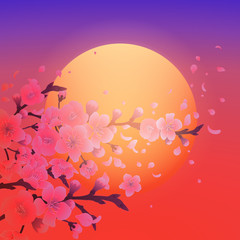 Obraz na płótnie Canvas Sakura and setting sun
