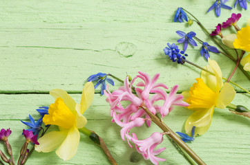 flowers on green wooden background