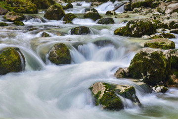 Fototapeta na wymiar Savica wild river / Bohinj / Slovenia