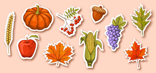 Autumn Seasonal Icons Signs Collection Isolated on Beige