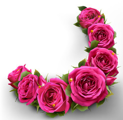 Roses Flowers Festive Border Congratulation Best Wishes Concept 