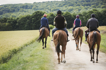 Group of riders on thoroughbred horses riding along rural path