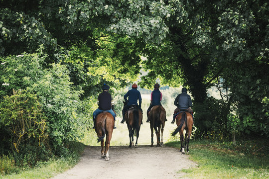 Rear view of a four riders on brown horses riding along a path.