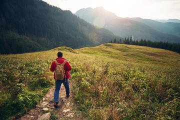 Hiker walking down a trail in the wilderness