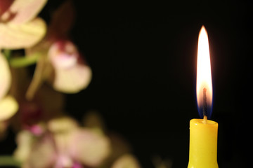 candle with flowers on a black background